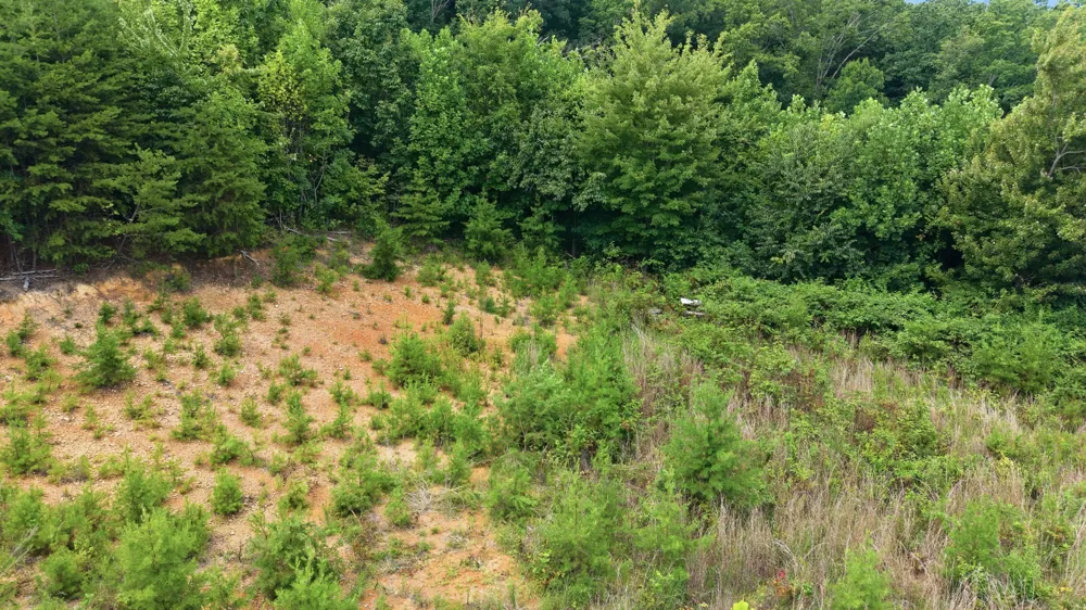 260 Riddle St Dayton, TN 37321