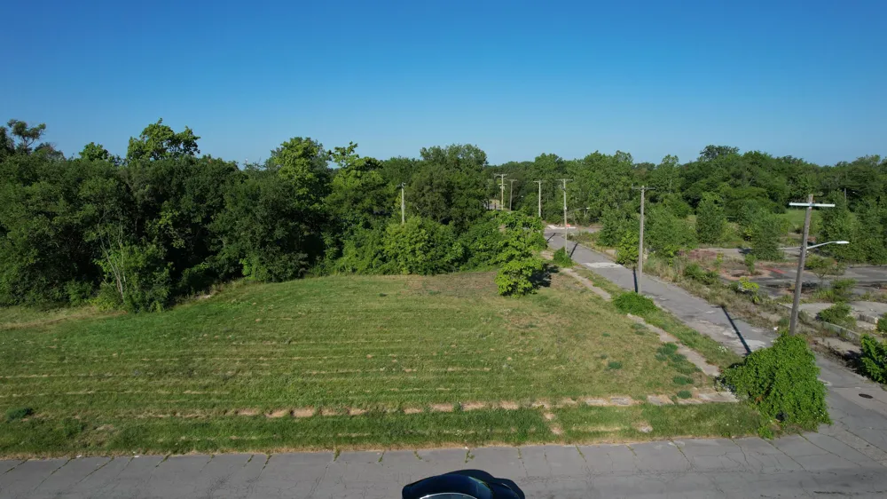 3803 Tillman Street Detroit, MI 48208