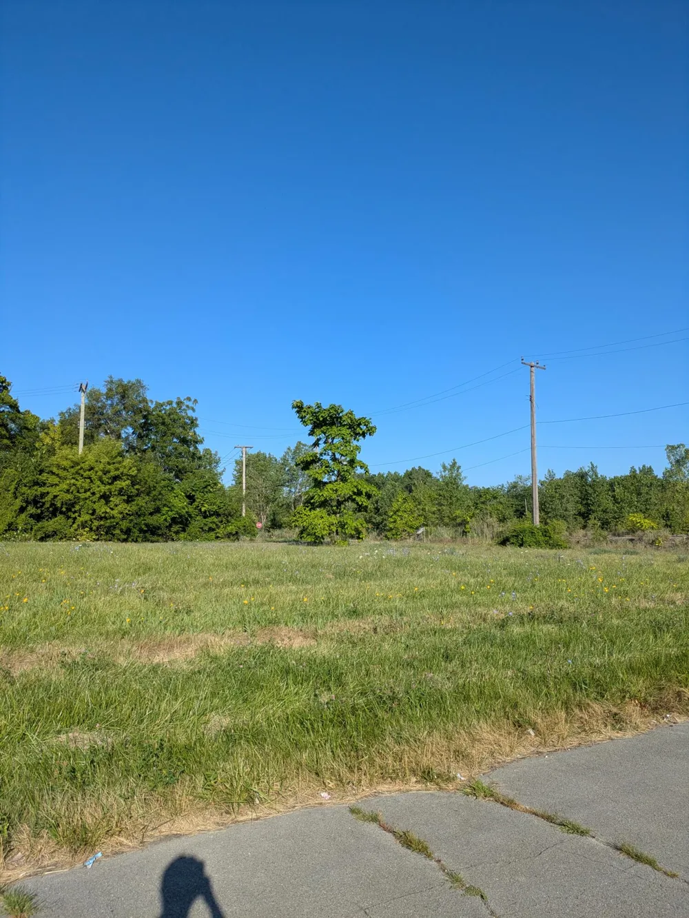 3803 Tillman Street Detroit, MI 48208