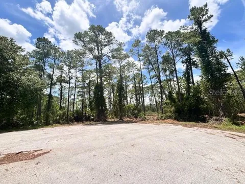 CHINABERRY WAY