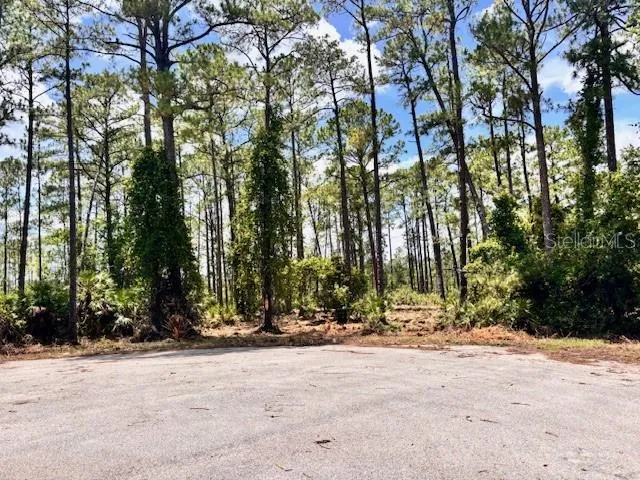 CHINABERRY WAY Eustis, FL 32736