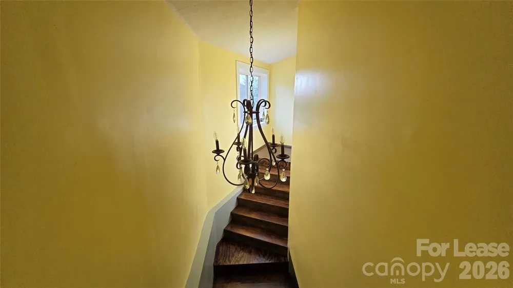 281 Bearwallow Trail Leicester, NC 28748