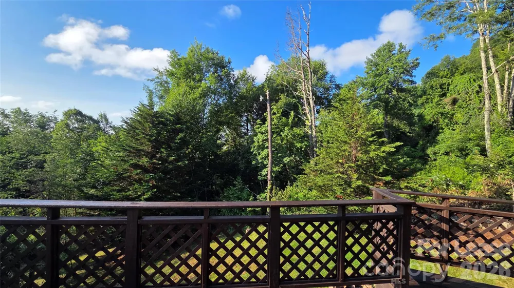 281 Bearwallow Trail Leicester, NC 28748