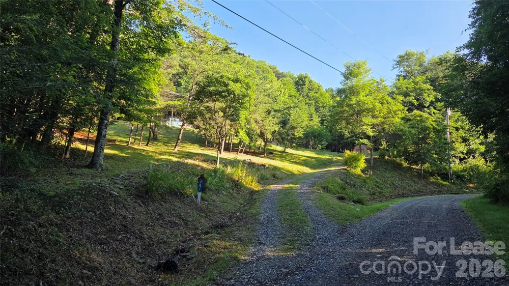 281 Bearwallow Trail Leicester, NC 28748