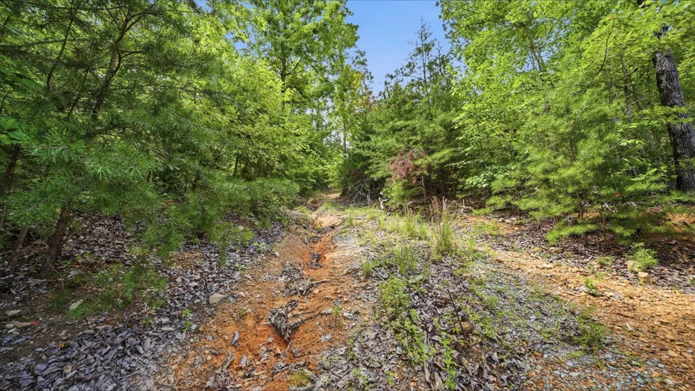 260 Riddle St Dayton, TN 37321