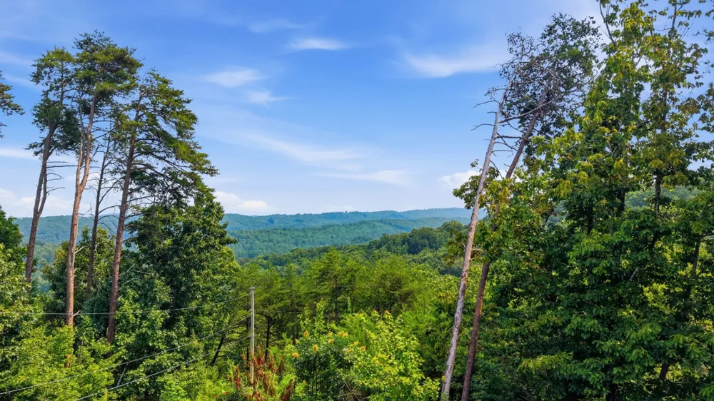 260 Riddle St Dayton, TN 37321