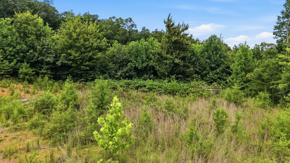 260 Riddle St Dayton, TN 37321