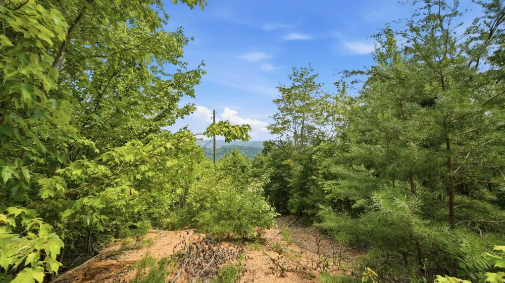 260 Riddle St Dayton, TN 37321