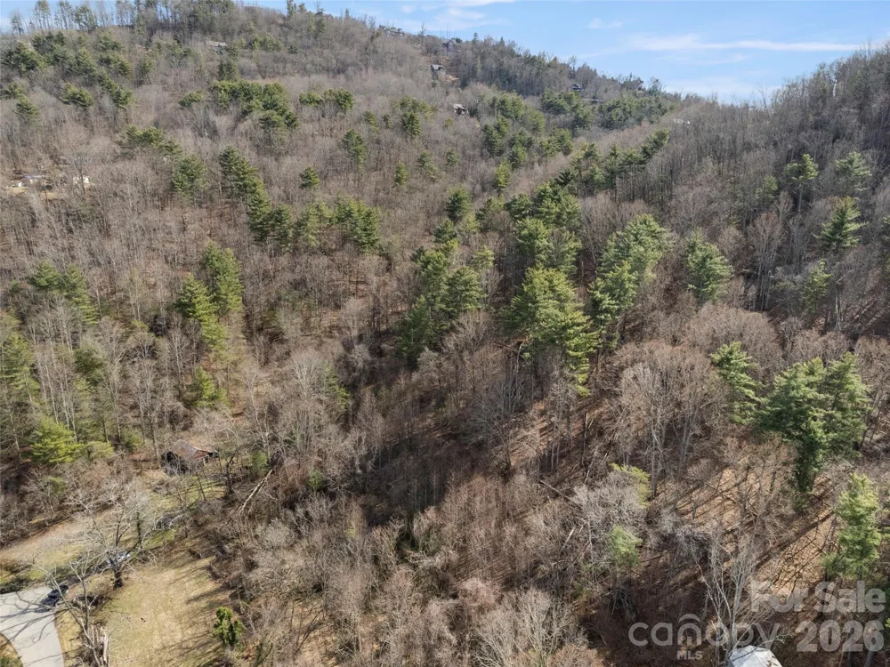 401 Baird Cove Road Asheville, NC 28804