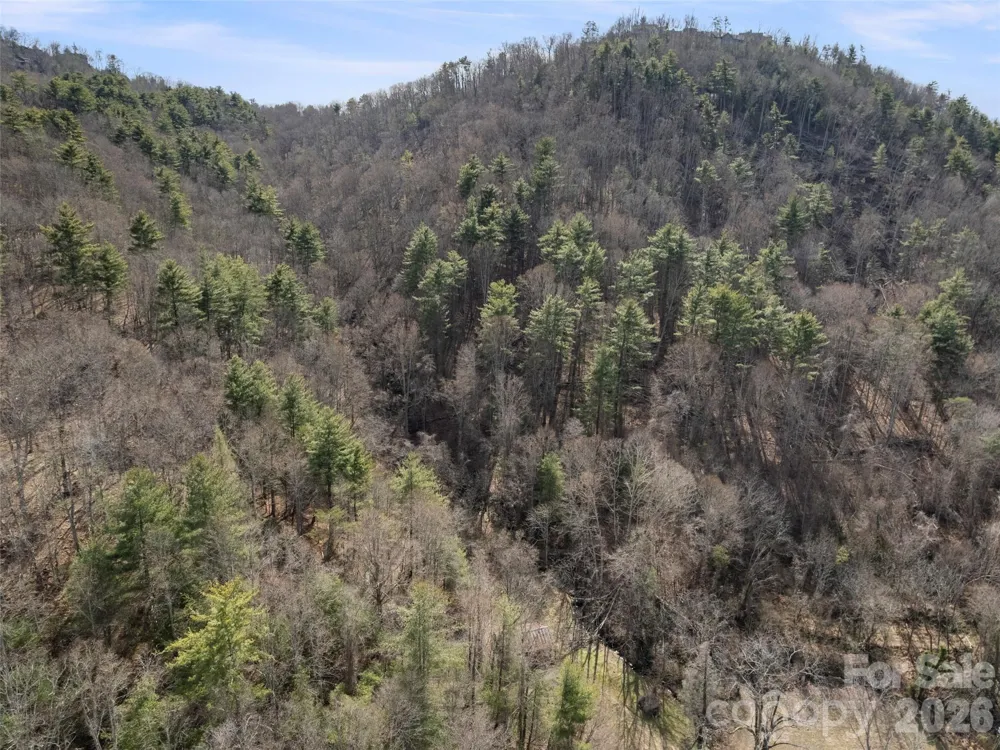401 Baird Cove Road Asheville, NC 28804