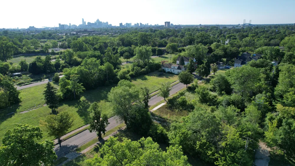 4159 Roosevelt Street Detroit, MI 48208