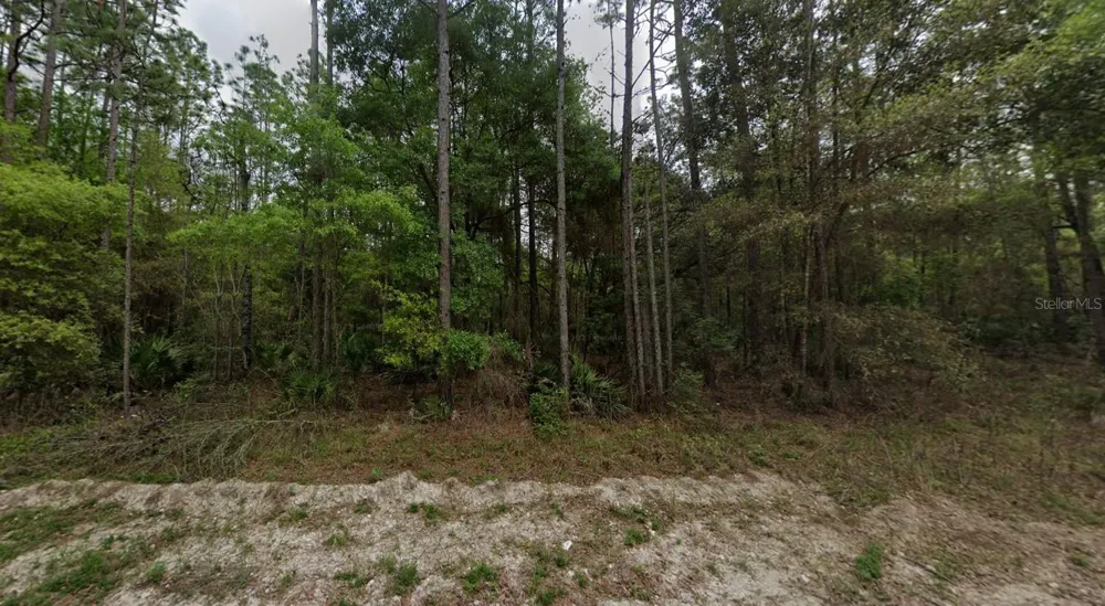 NE 821ST STREET Old Town, FL 32680
