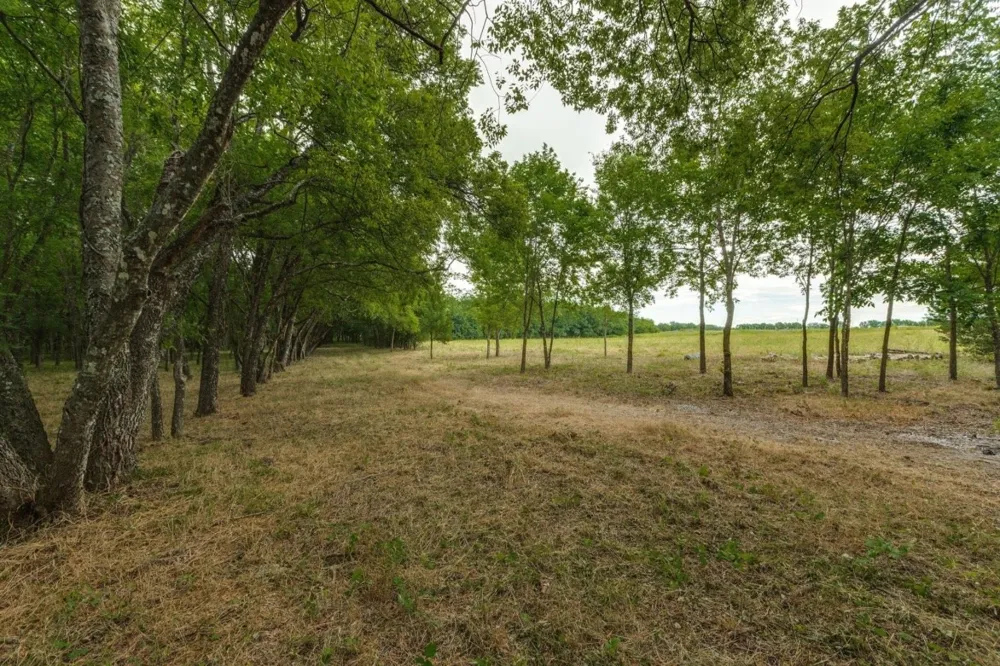 3805 County Rd Wolfe City, TX 75496