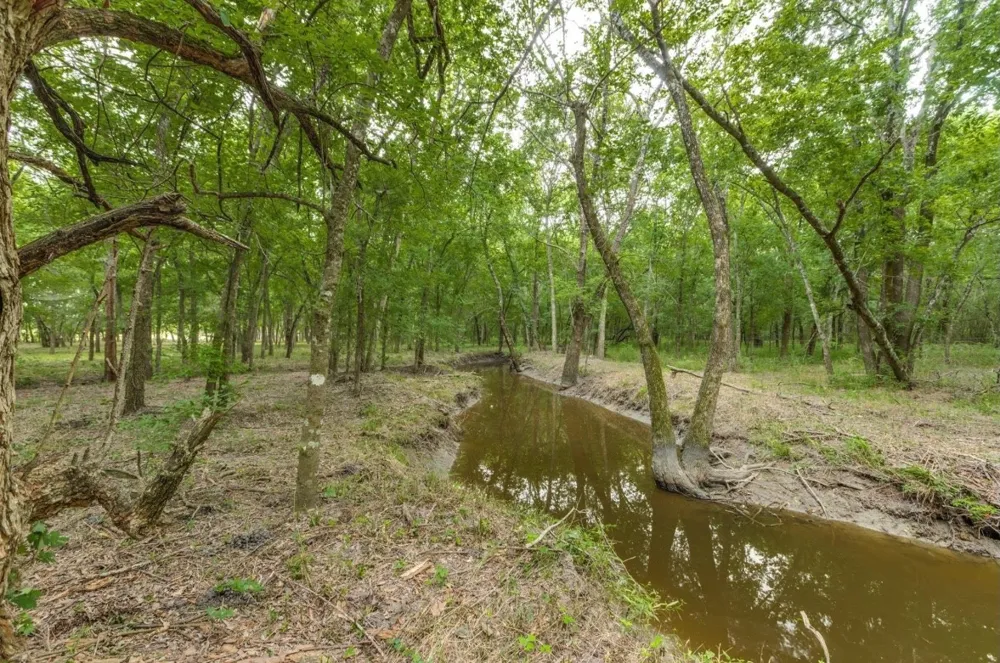 3805 County Rd Wolfe City, TX 75496