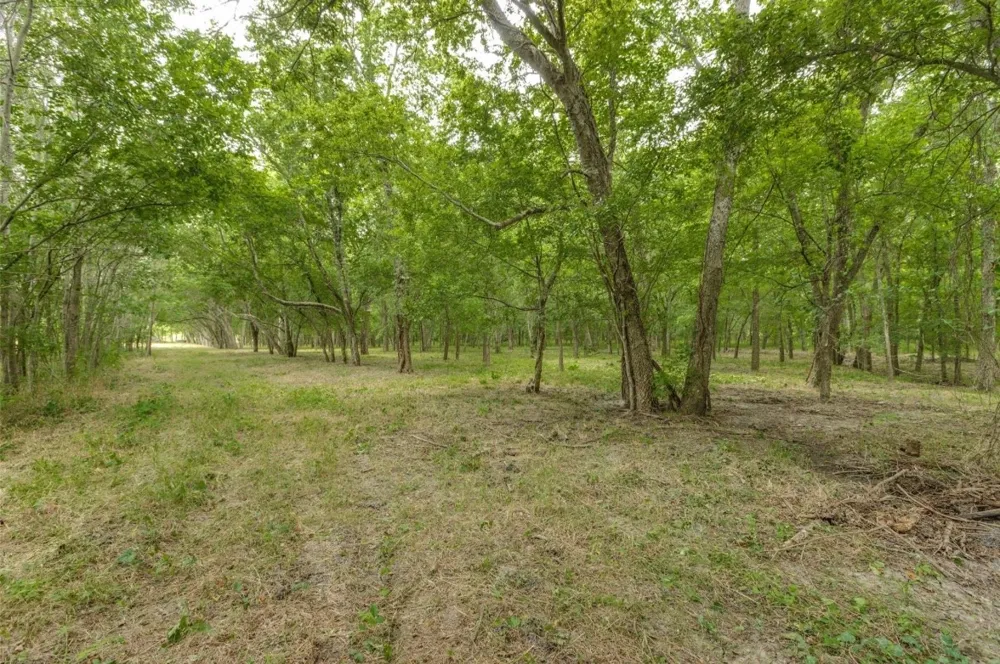 3805 County Rd Wolfe City, TX 75496