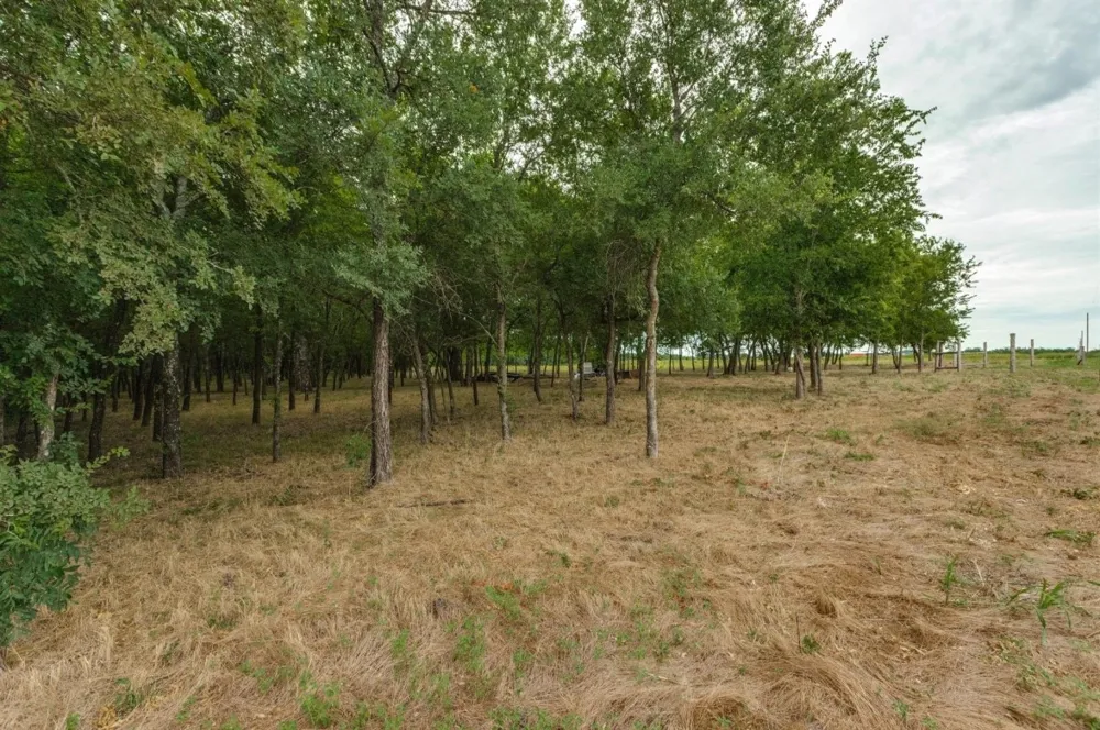 3805 County Rd Wolfe City, TX 75496
