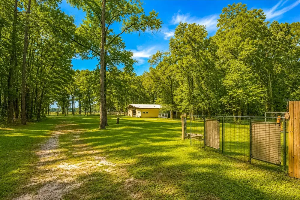 15970 NW 53RD STREET Morriston, FL 32668