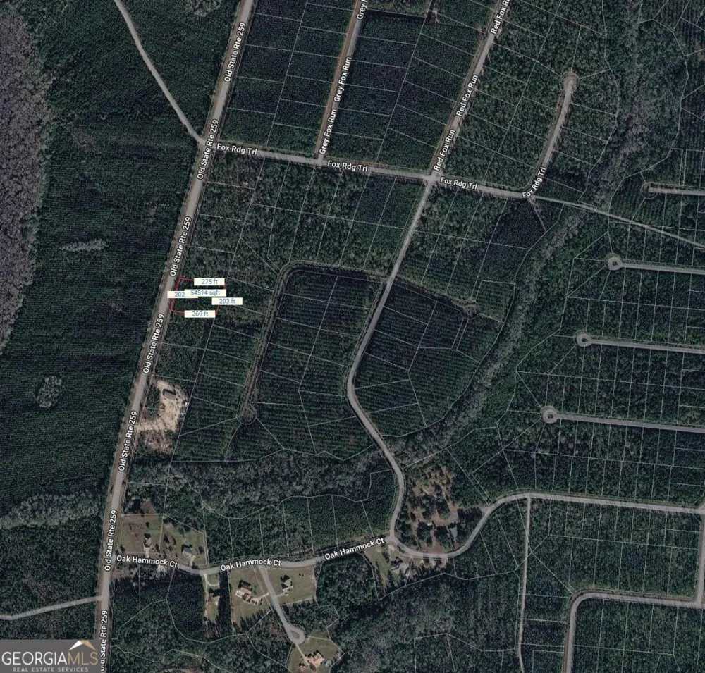 LOT27 Old State Rt 259 Waynesville, GA 31566