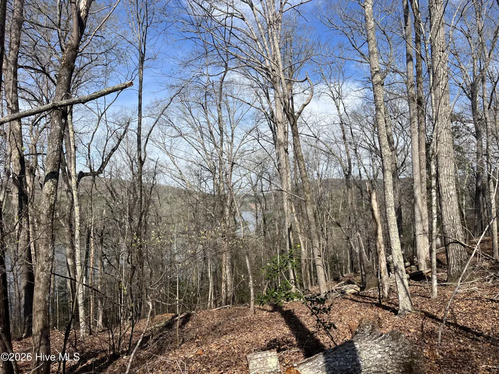 Tbd Haltiwanger Retreat Road Troy, NC 27371
