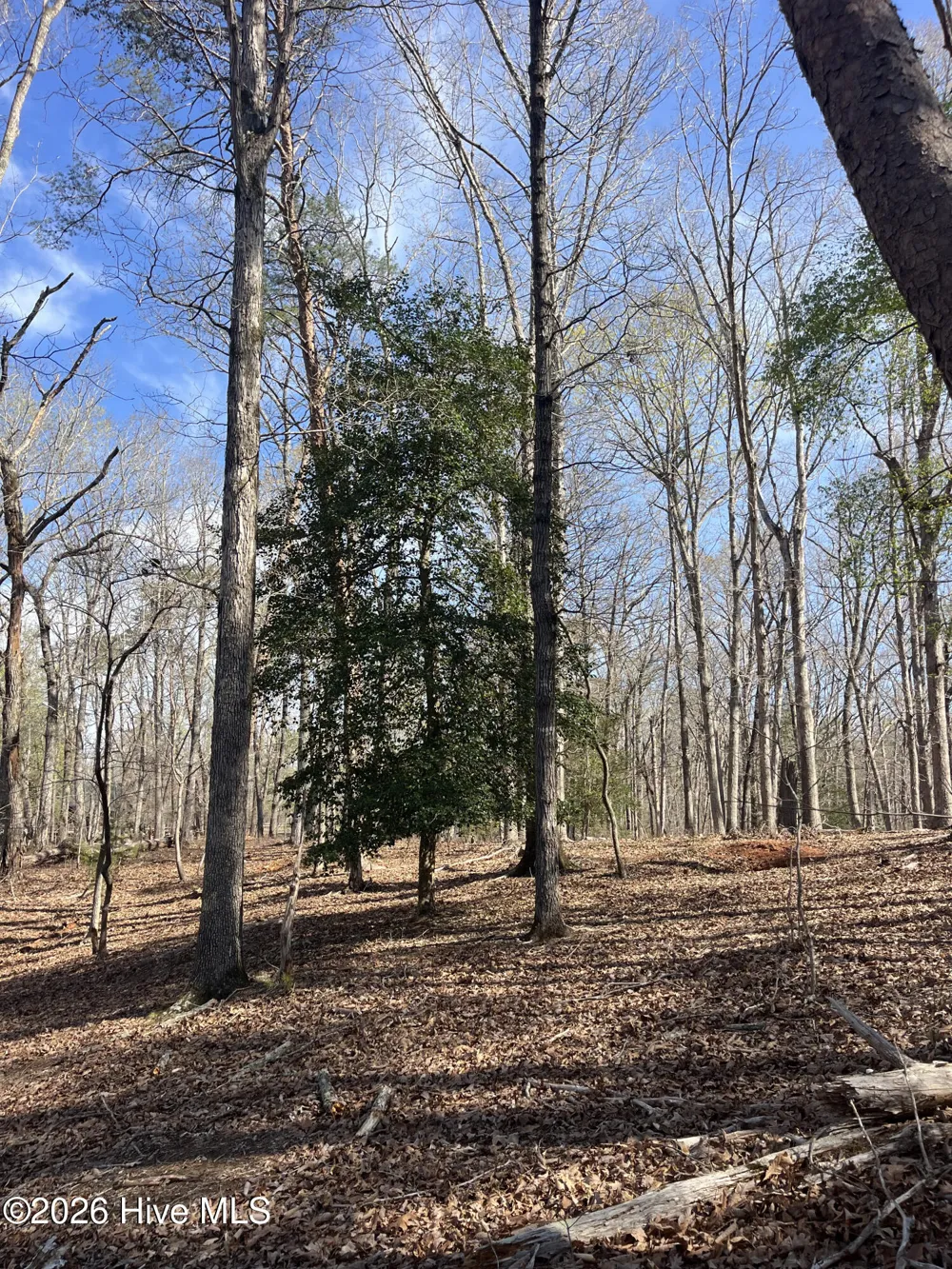 Tbd Haltiwanger Retreat Road Troy, NC 27371