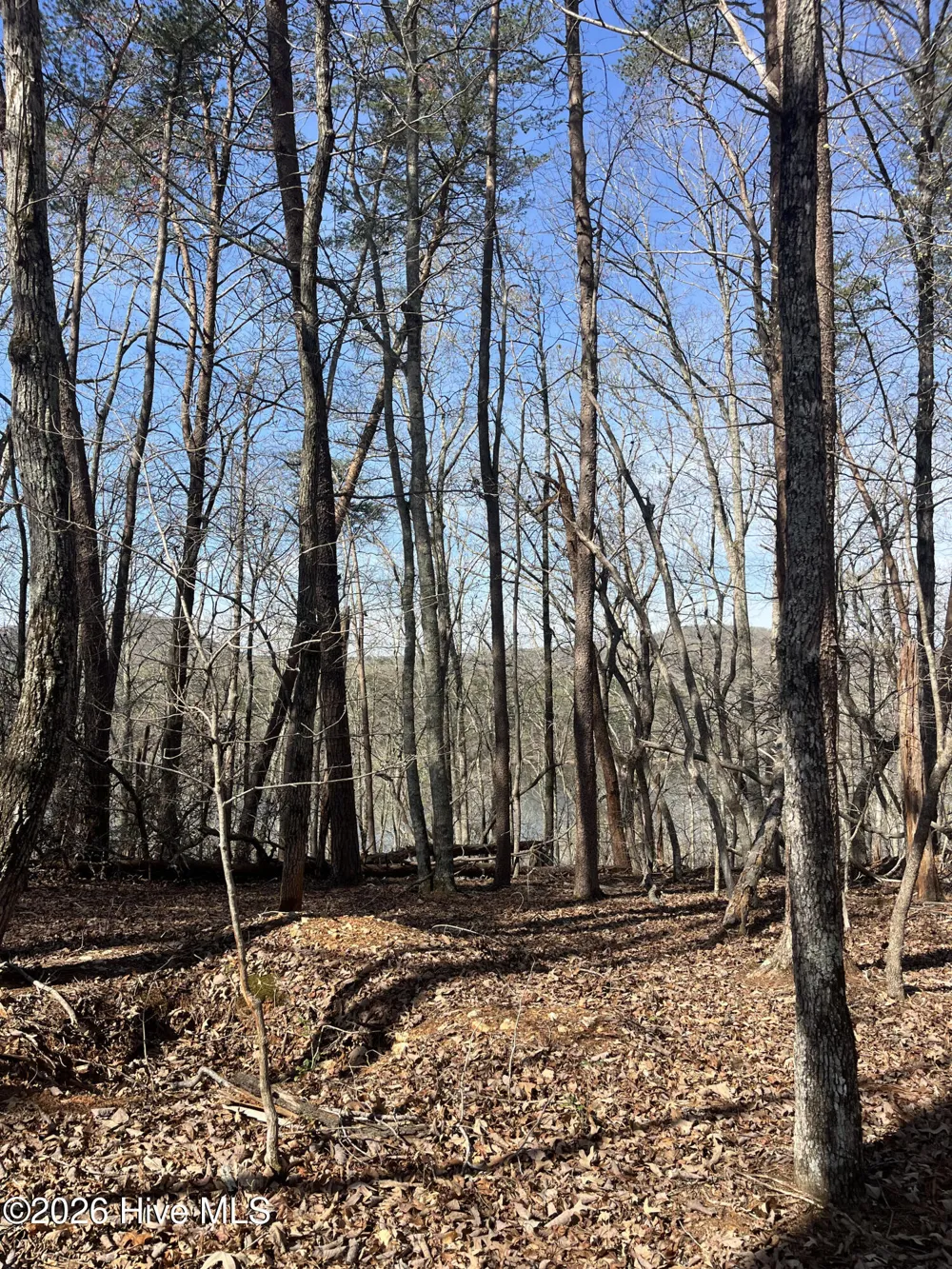 Tbd Haltiwanger Retreat Road Troy, NC 27371