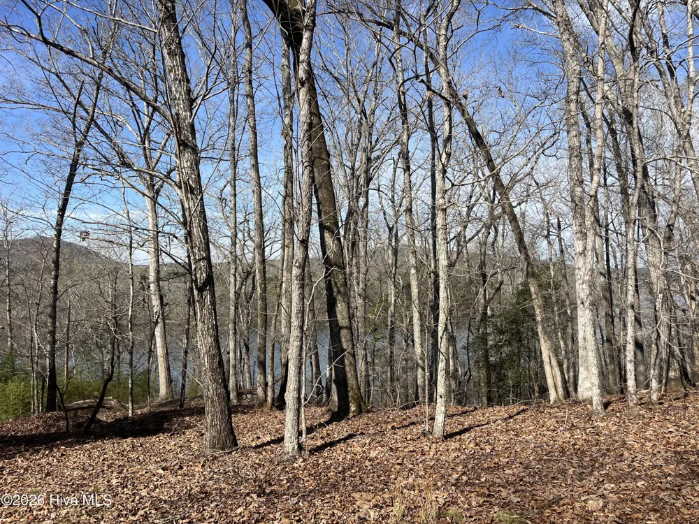 Tbd Haltiwanger Retreat Road Troy, NC 27371
