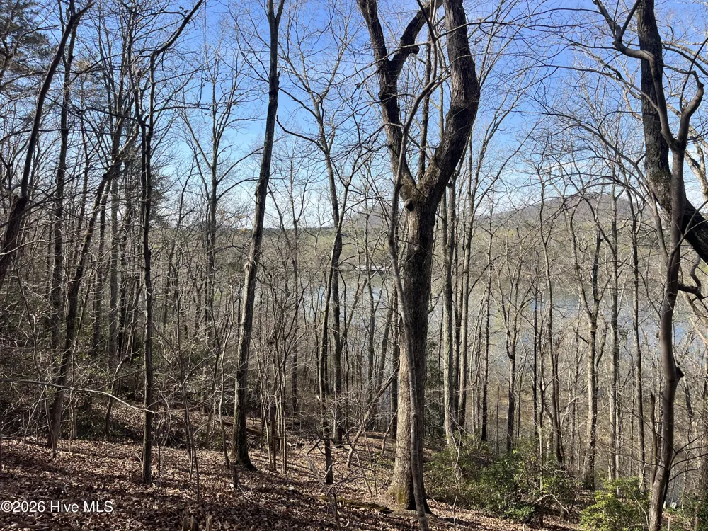 Tbd Haltiwanger Retreat Road Troy, NC 27371