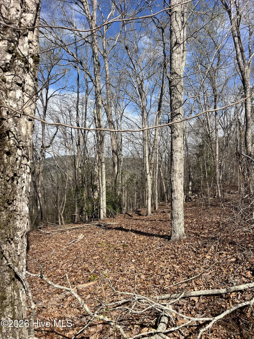 Tbd Haltiwanger Retreat Road Troy, NC 27371