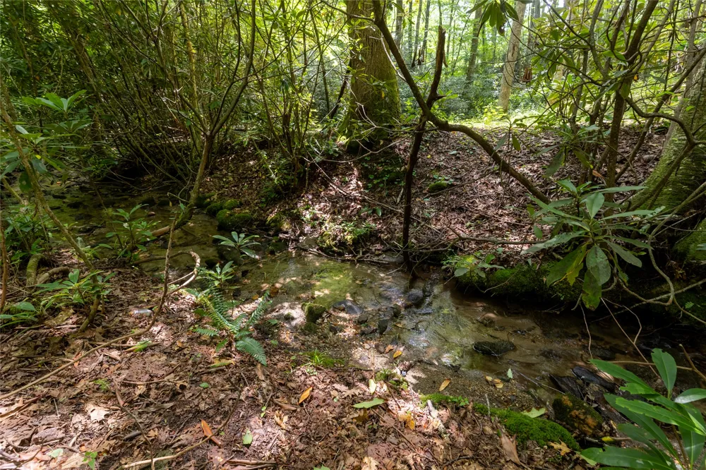 TBD Aimless Hill Road Glenville, NC 28736