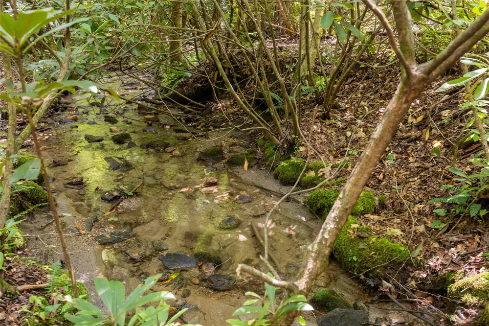TBD Aimless Hill Road Glenville, NC 28736