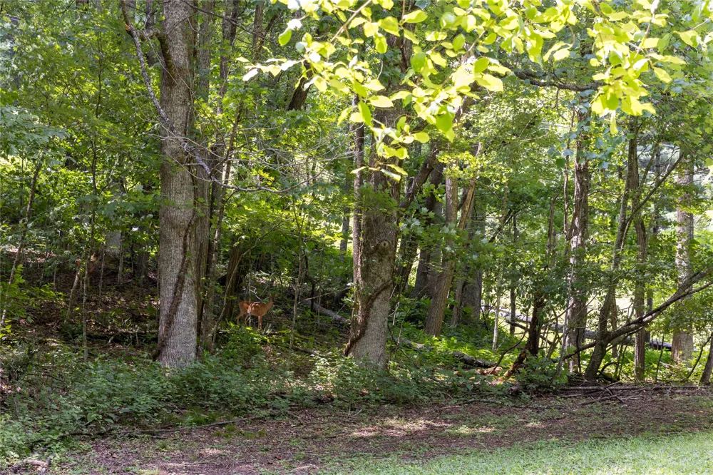 TBD Aimless Hill Road Glenville, NC 28736