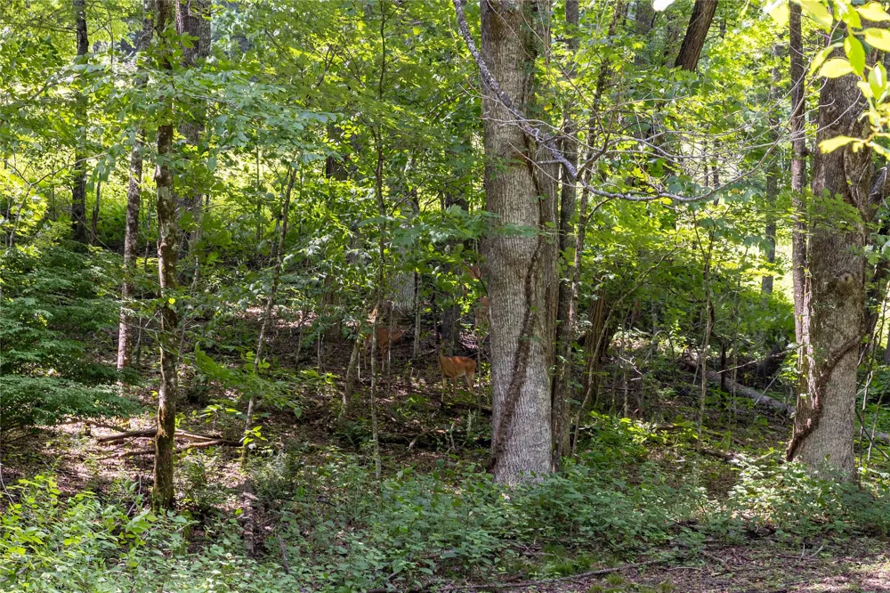 TBD Aimless Hill Road Glenville, NC 28736
