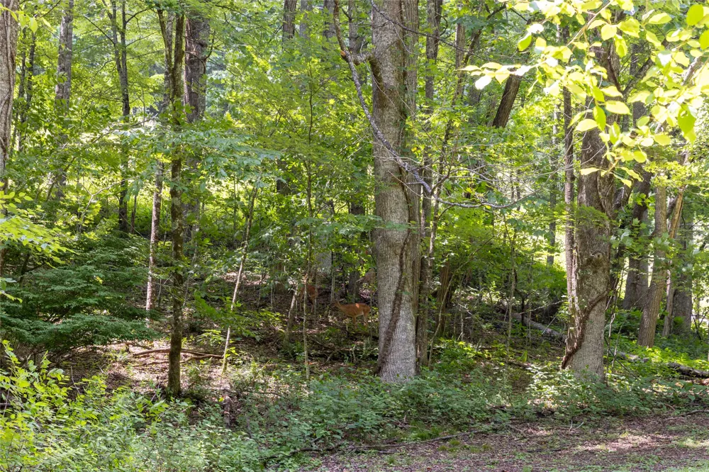 TBD Aimless Hill Road Glenville, NC 28736