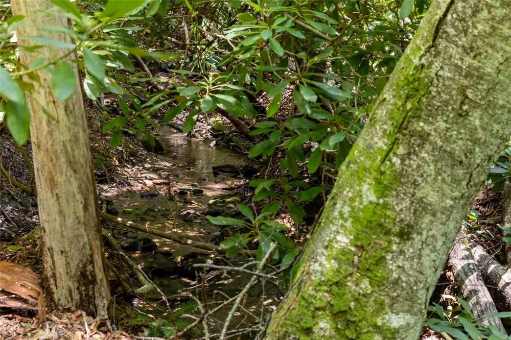 TBD Aimless Hill Road Glenville, NC 28736