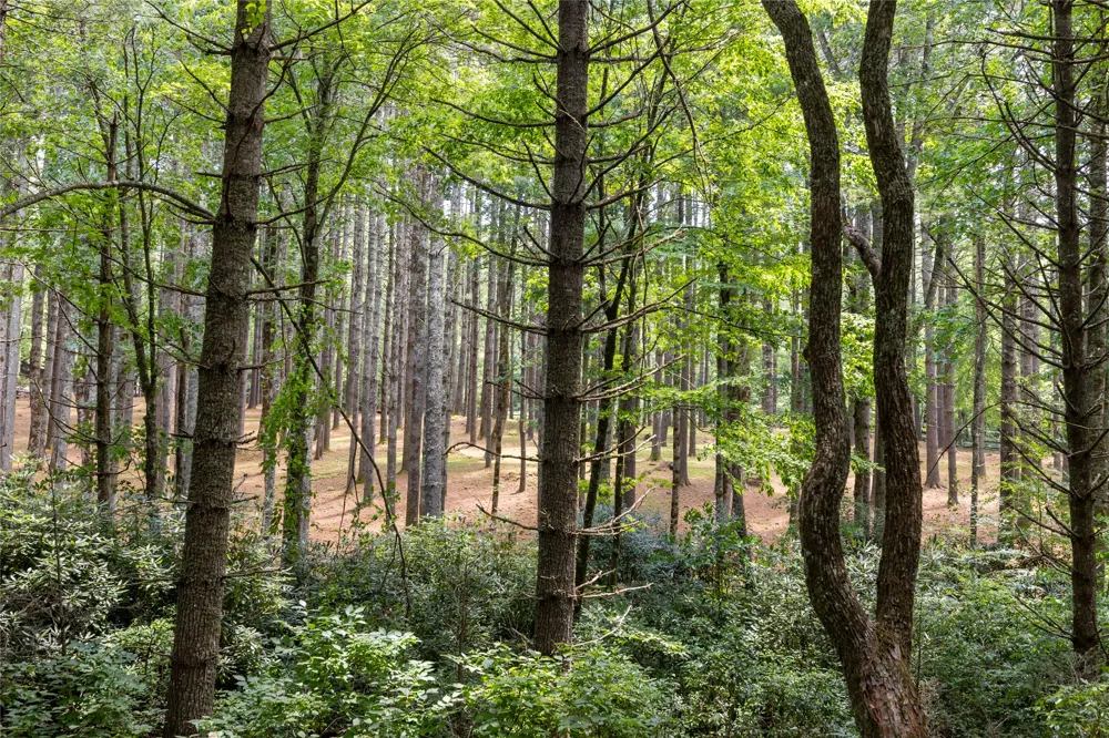 TBD Aimless Hill Road Glenville, NC 28736
