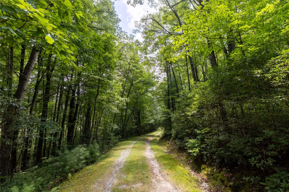 TBD Aimless Hill Road Glenville, NC 28736