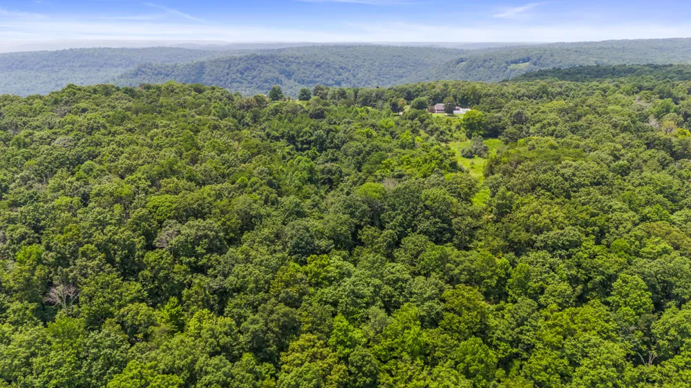 Lodge Point Road South Pittsburg, TN 37380