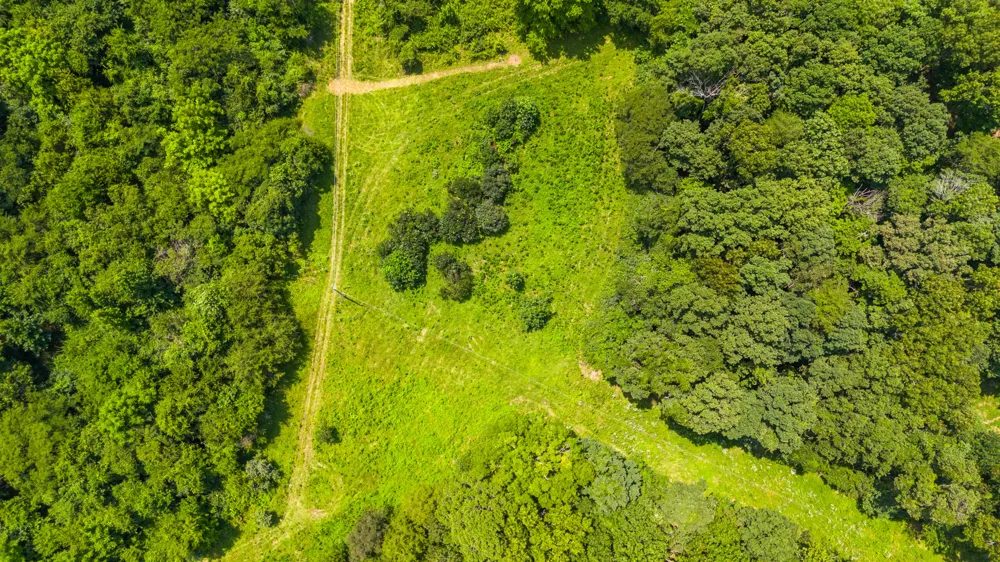 Lodge Point Road South Pittsburg, TN 37380