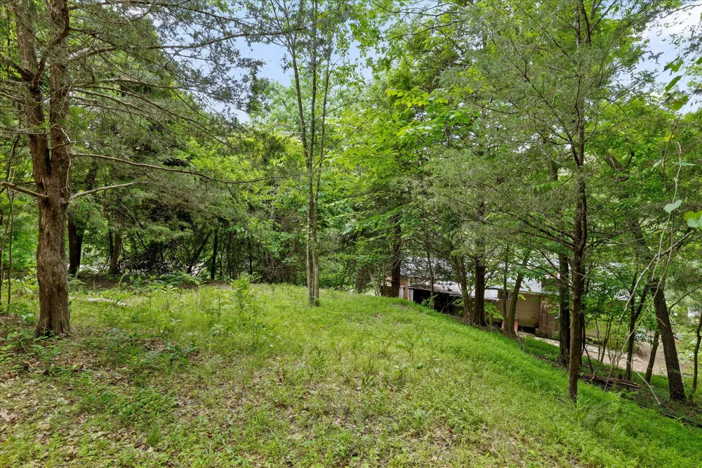 16211 Lakewood Drive Sale Creek, TN 37373