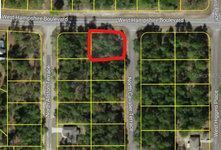 6344 CAVALIER TERRACE Citrus Springs, FL 34433