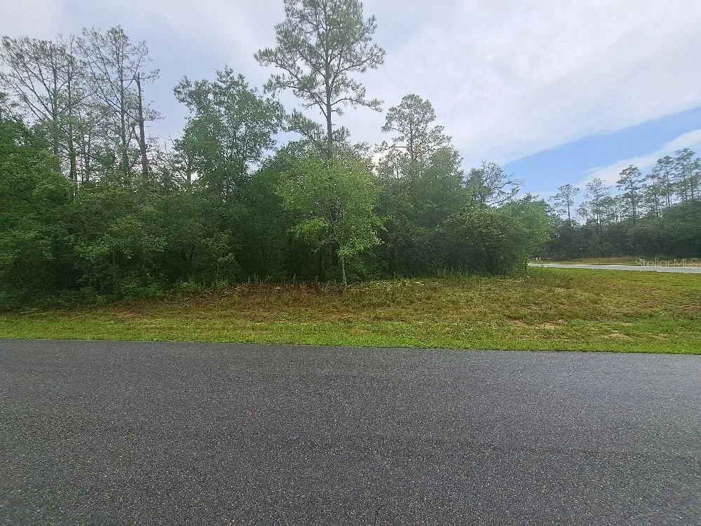 6344 CAVALIER TERRACE Citrus Springs, FL 34433