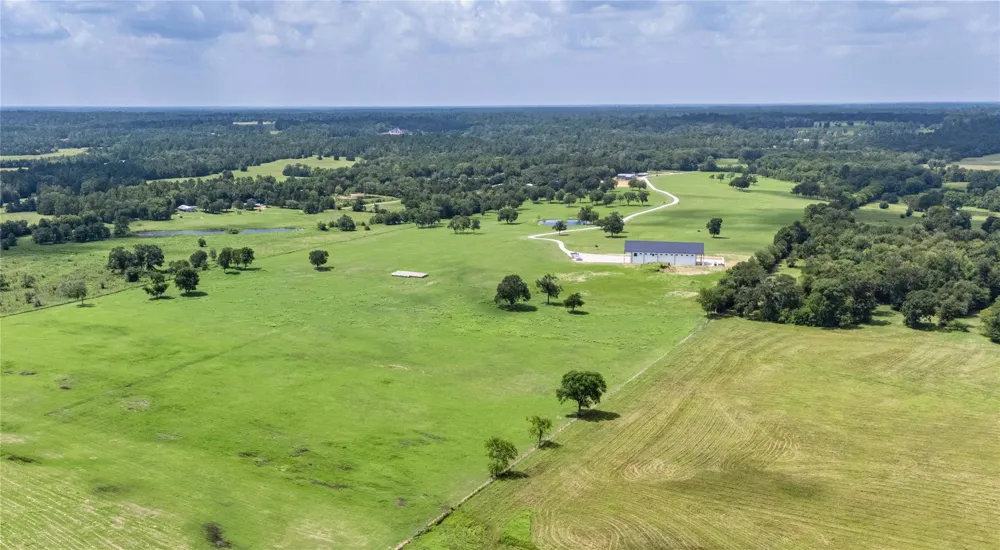 1221 Rock Creek Drive Willis, TX 77378