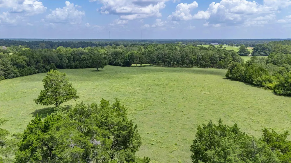 1221 Rock Creek Drive Willis, TX 77378