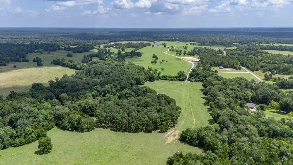 1221 Rock Creek Drive Willis, TX 77378