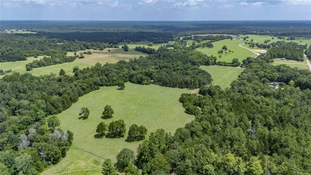 1221 Rock Creek Drive Willis, TX 77378