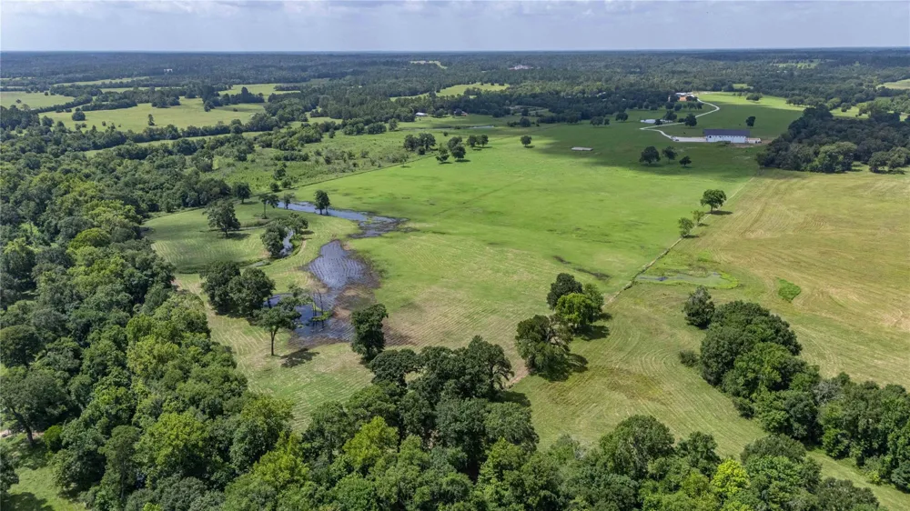 1221 Rock Creek Drive Willis, TX 77378