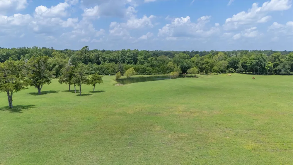 1221 Rock Creek Drive Willis, TX 77378