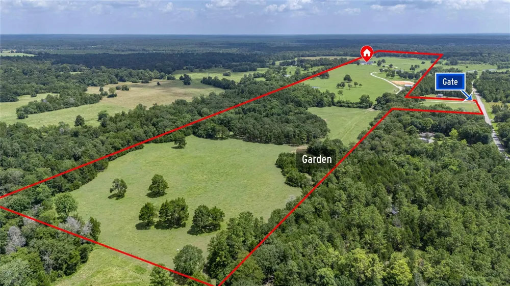 1221 Rock Creek Drive Willis, TX 77378