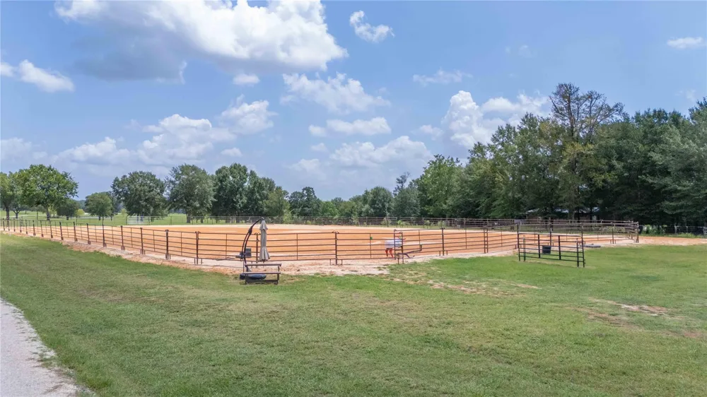 1221 Rock Creek Drive Willis, TX 77378
