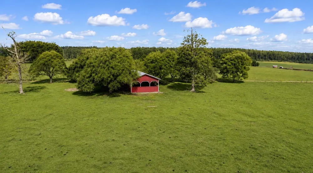 Timberline Dr Hillister, TX 77624